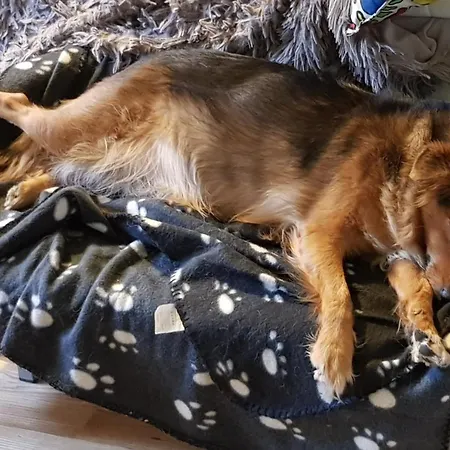 Niewielki Pokój Dla Jednej Osoby Lub Pary. *